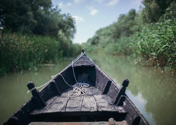 Holiday home Bivoac In The Danube Delta Sfantu Gheorghe (Tulcea)